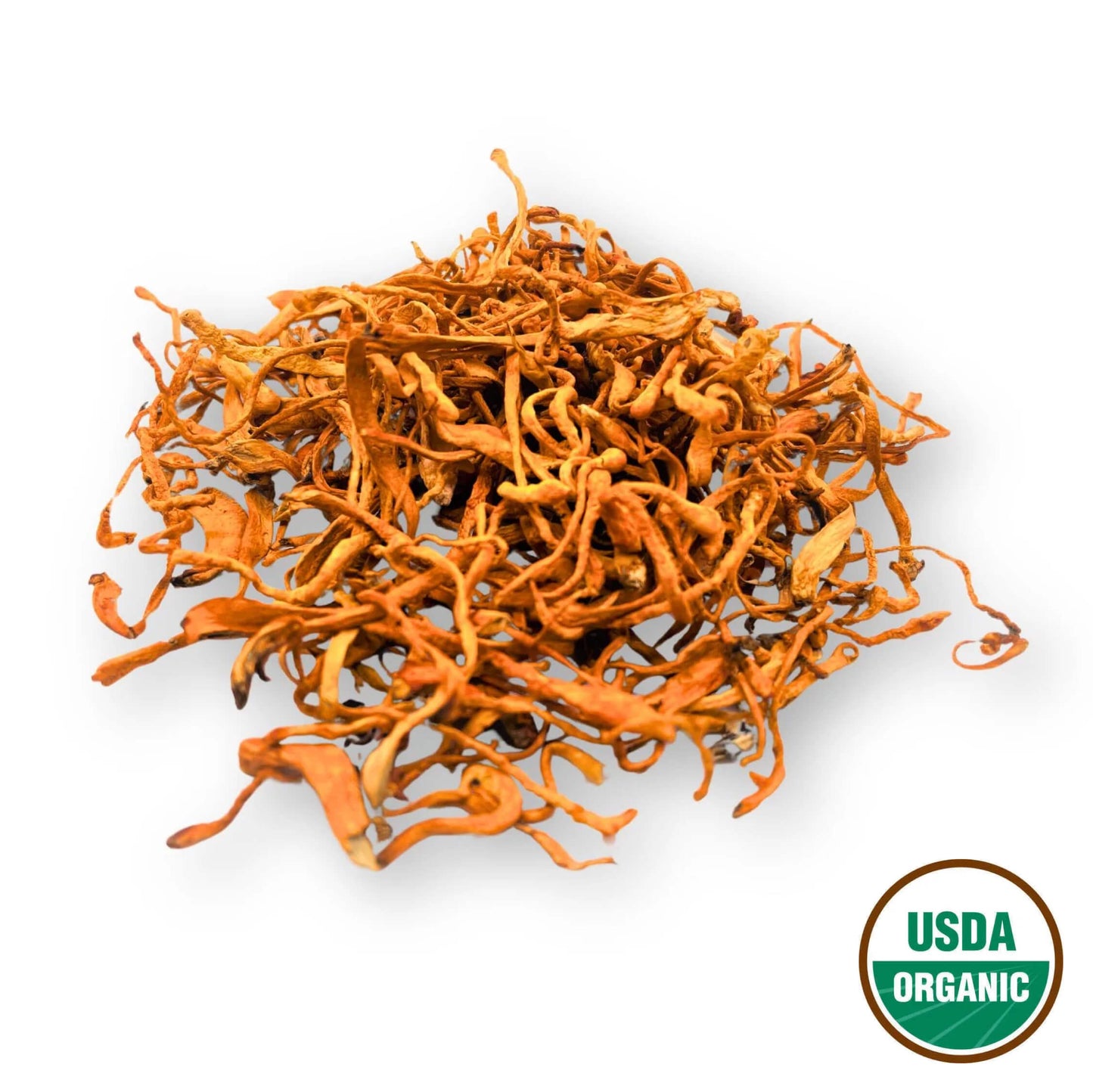 Cordyceps (Fruiting Body) - Cordyceps militaris - Chong Cao Hua - Organic