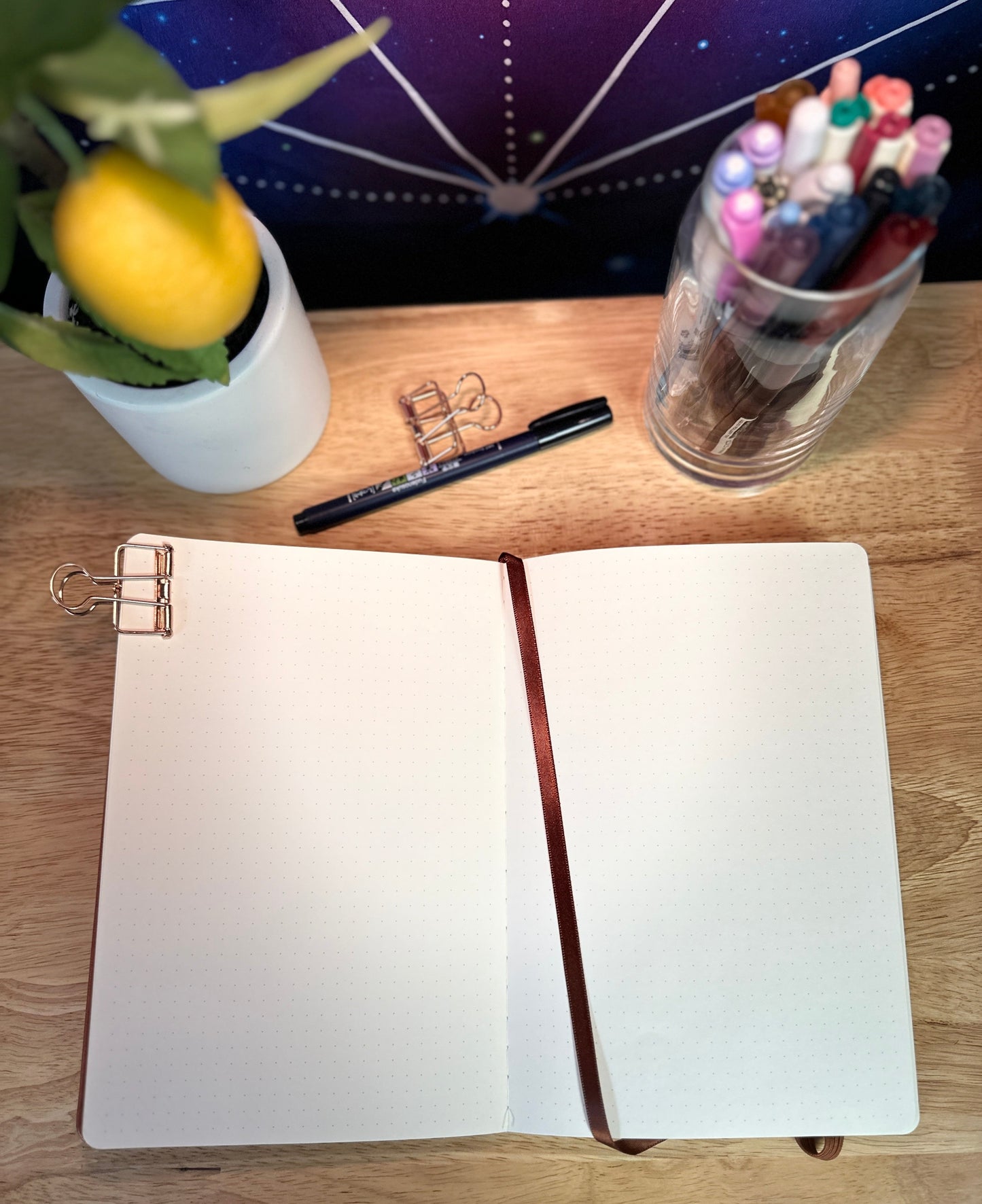 Delmas 33 - A5 Dotted Journal Bundle 2