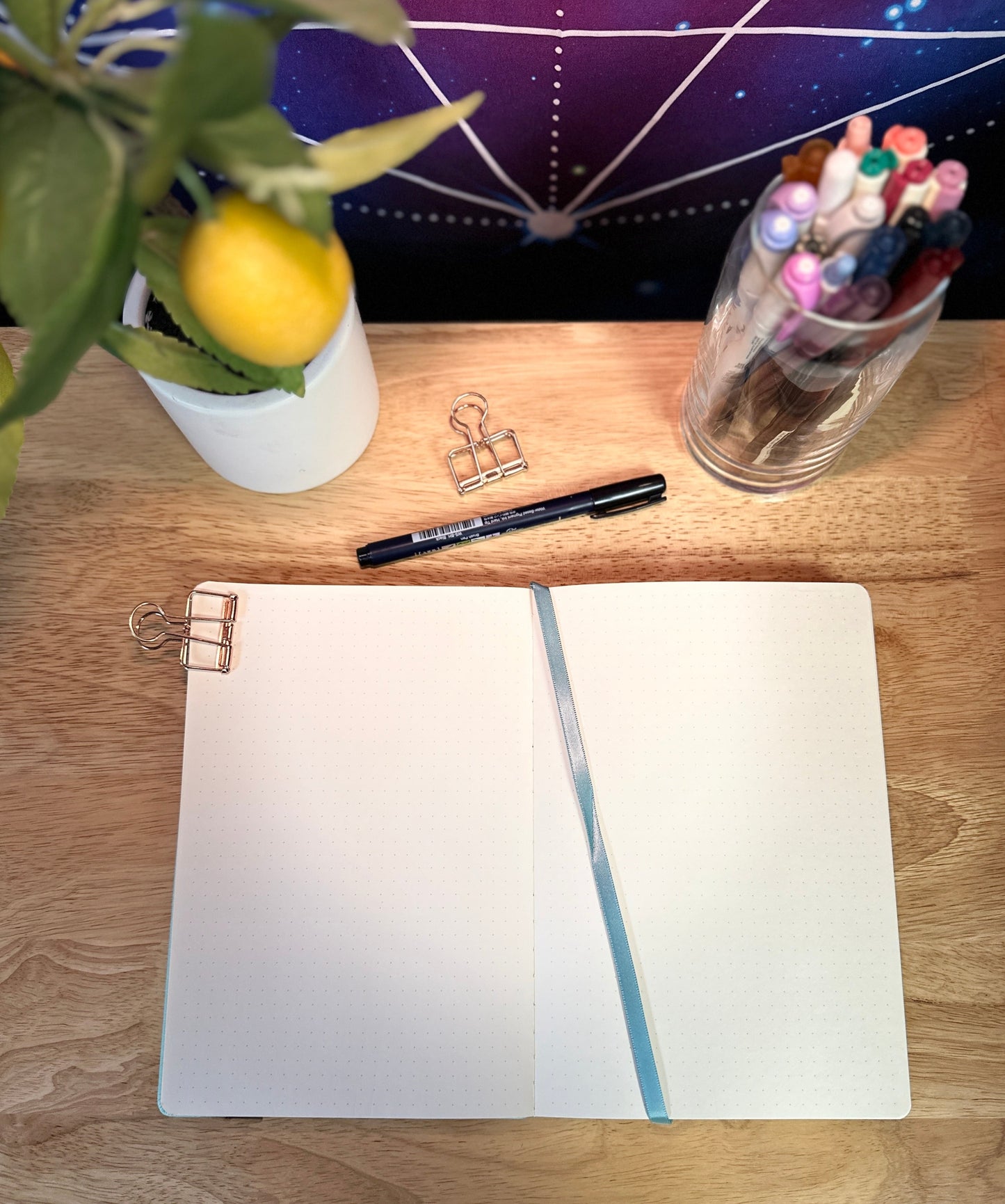 Delmas 33 - A5 Dotted Journal Bundle 3