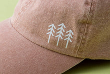 Load image into Gallery viewer, 43