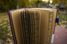 Load image into Gallery viewer, Delmas 33 Sampaguita A5 DottedJournal with Kraft Paper