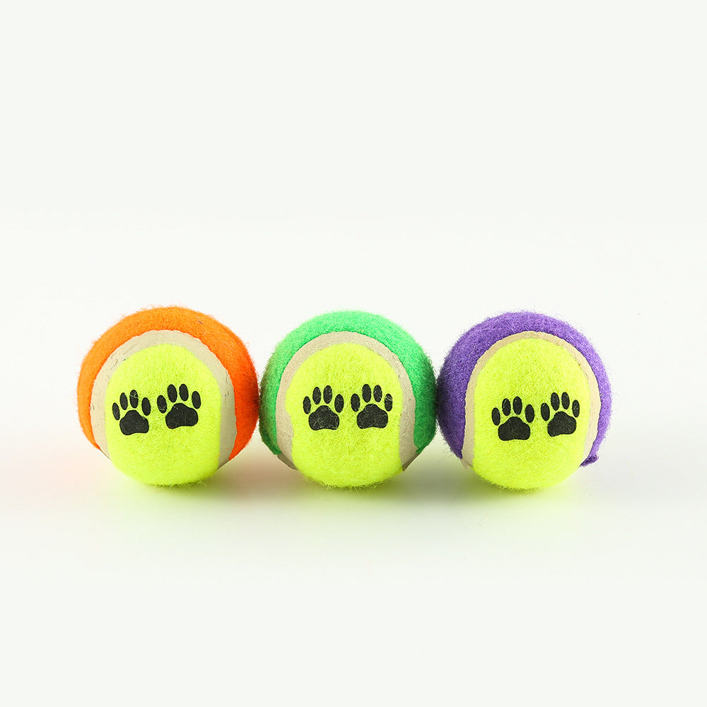 Interactive Dog Fetch & Training Launcher