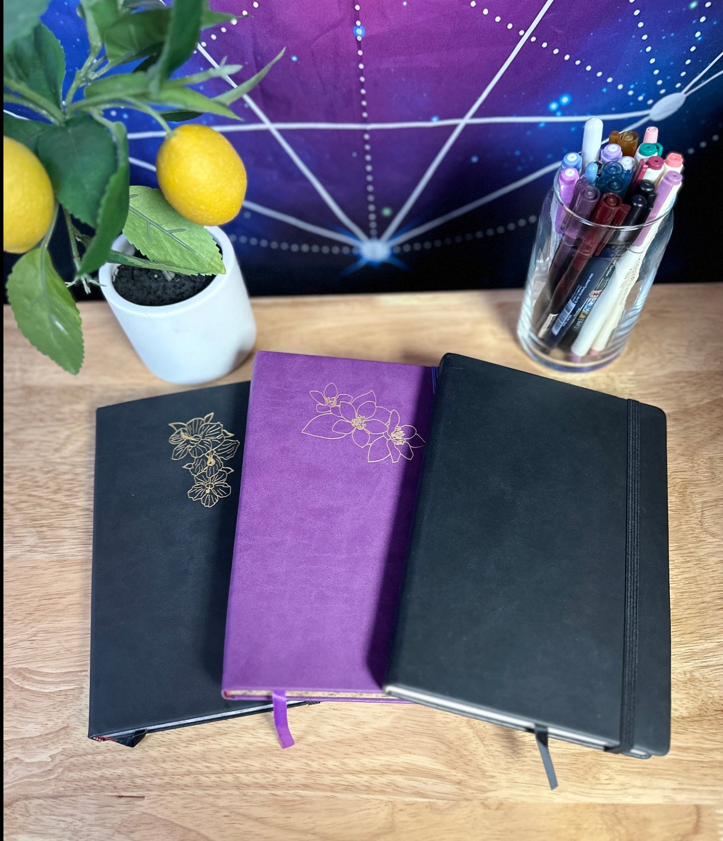 Delmas 33 - A5 Dotted Journal Bundle 1