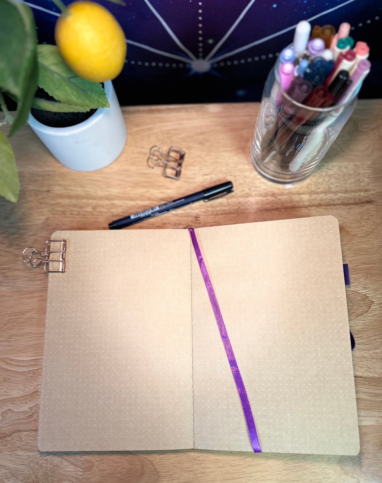 Delmas 33 - A5 Dotted Journal Bundle 1