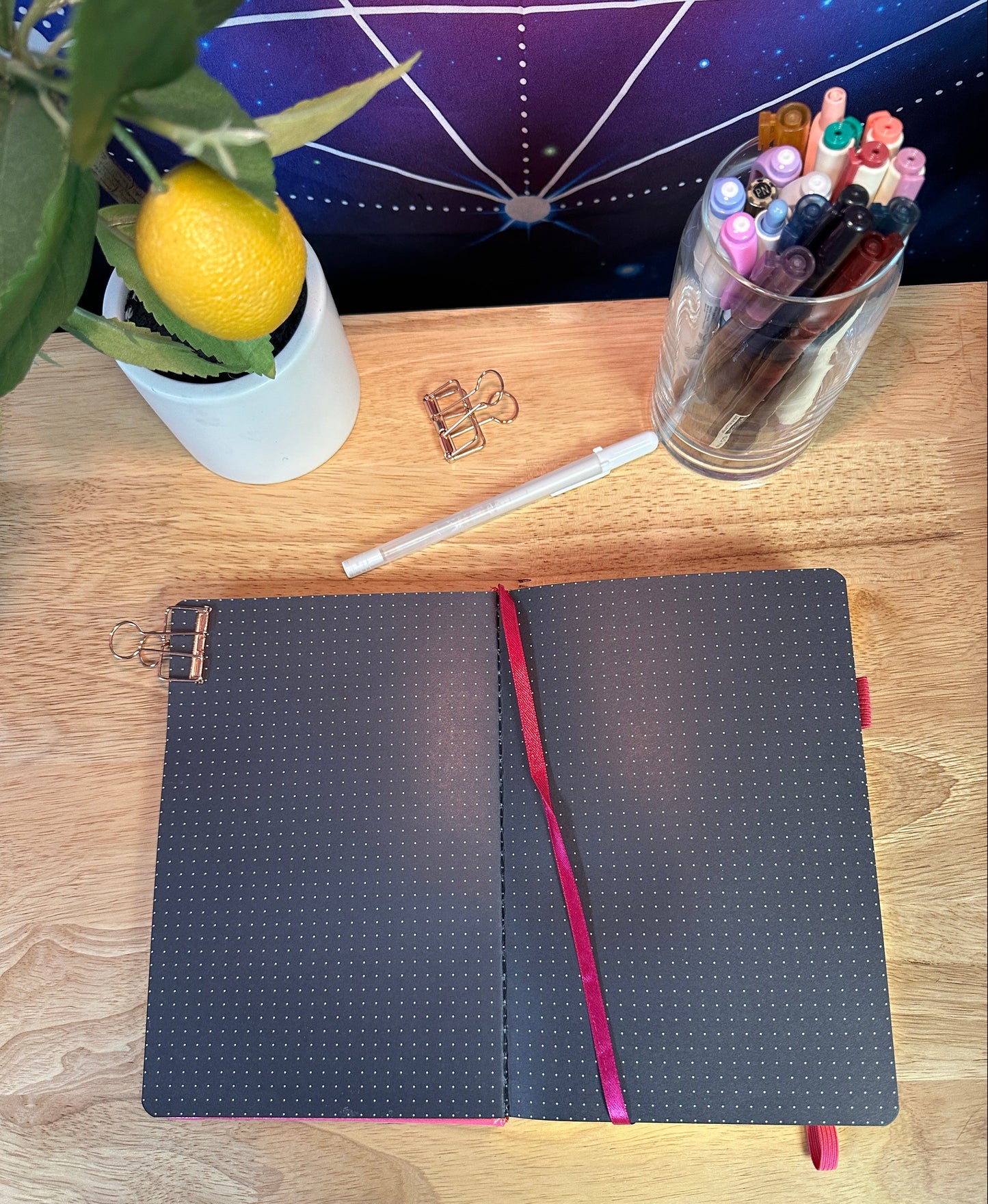 Delmas 33 - A5 Dotted Journal Bundle 2