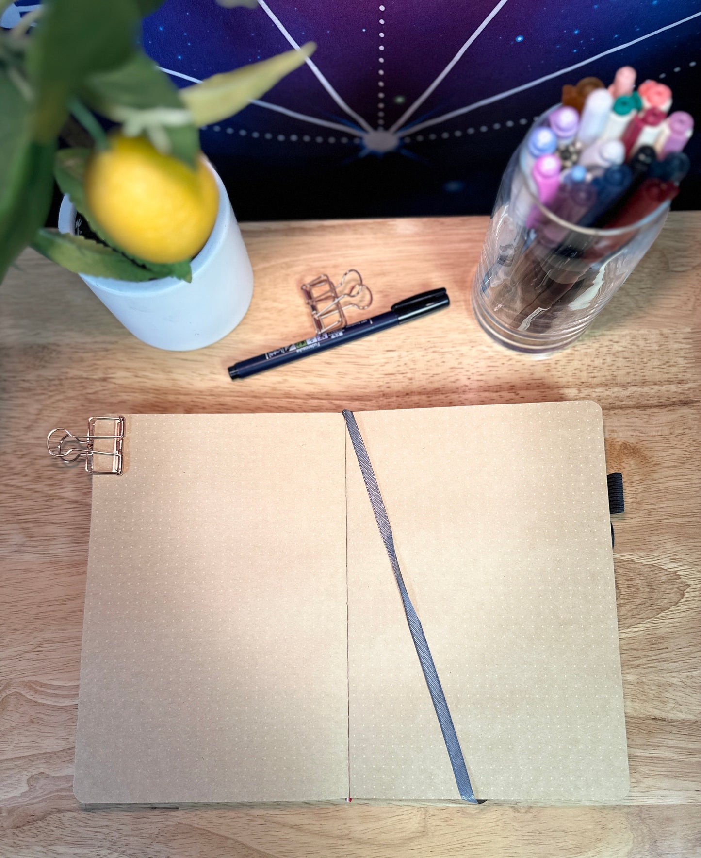 Delmas 33 - A5 Dotted Journal Bundle 2