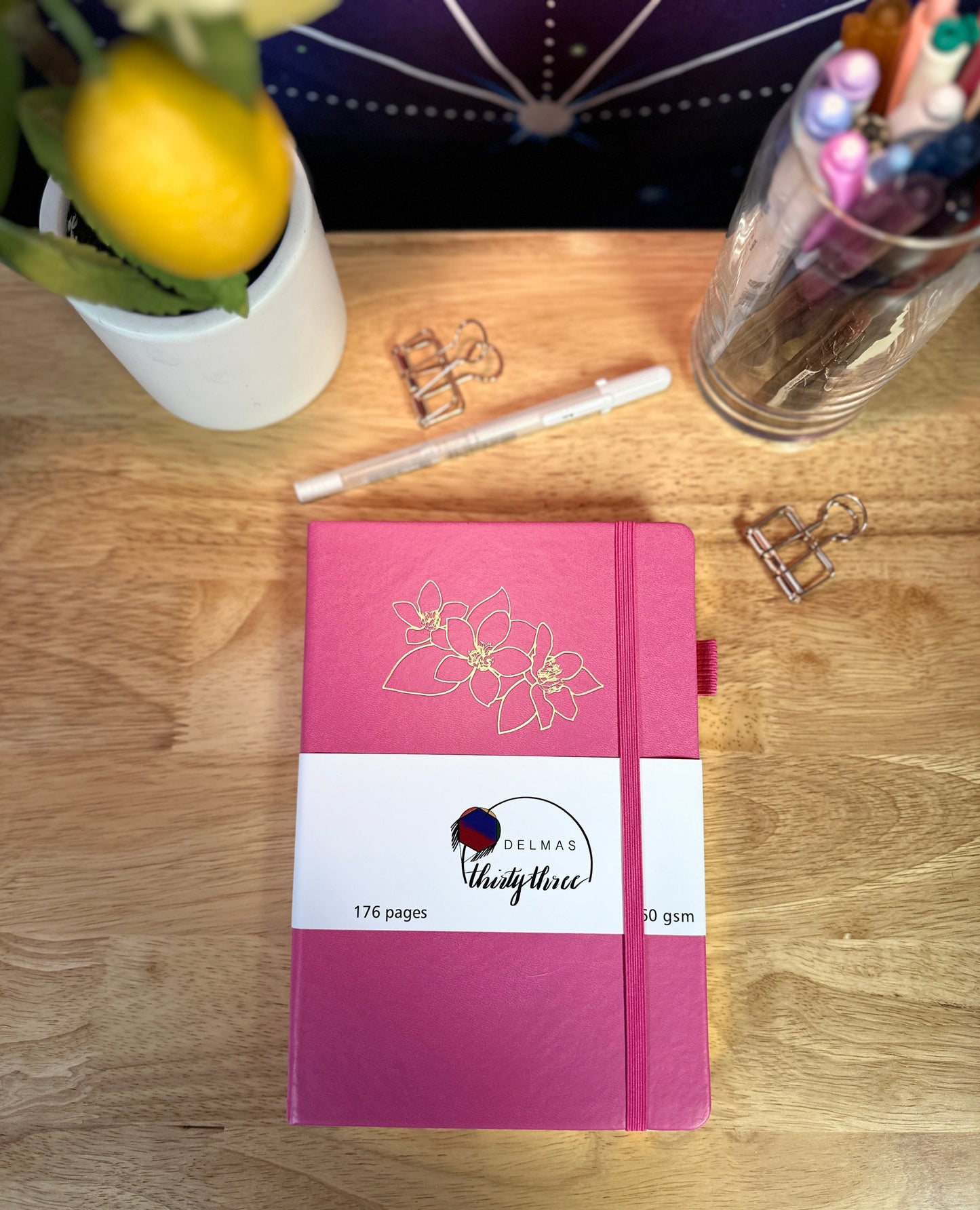 Delmas 33 - A5 Dotted Journal Bundle 2