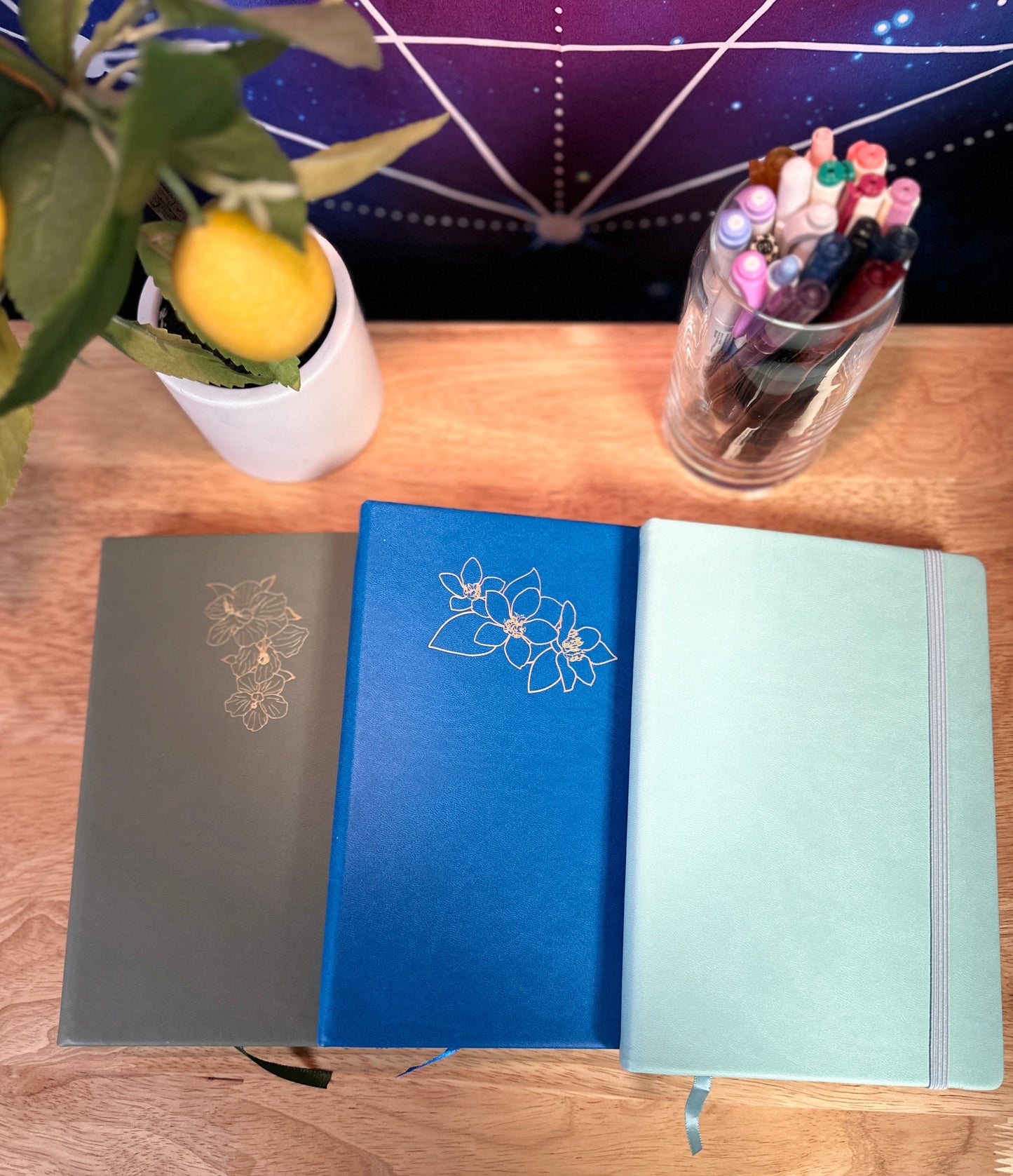 Delmas 33 - A5 Dotted Journal Bundle 3