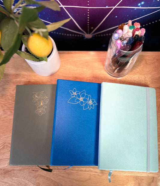 Delmas 33 - A5 Dotted Journal Bundle 3