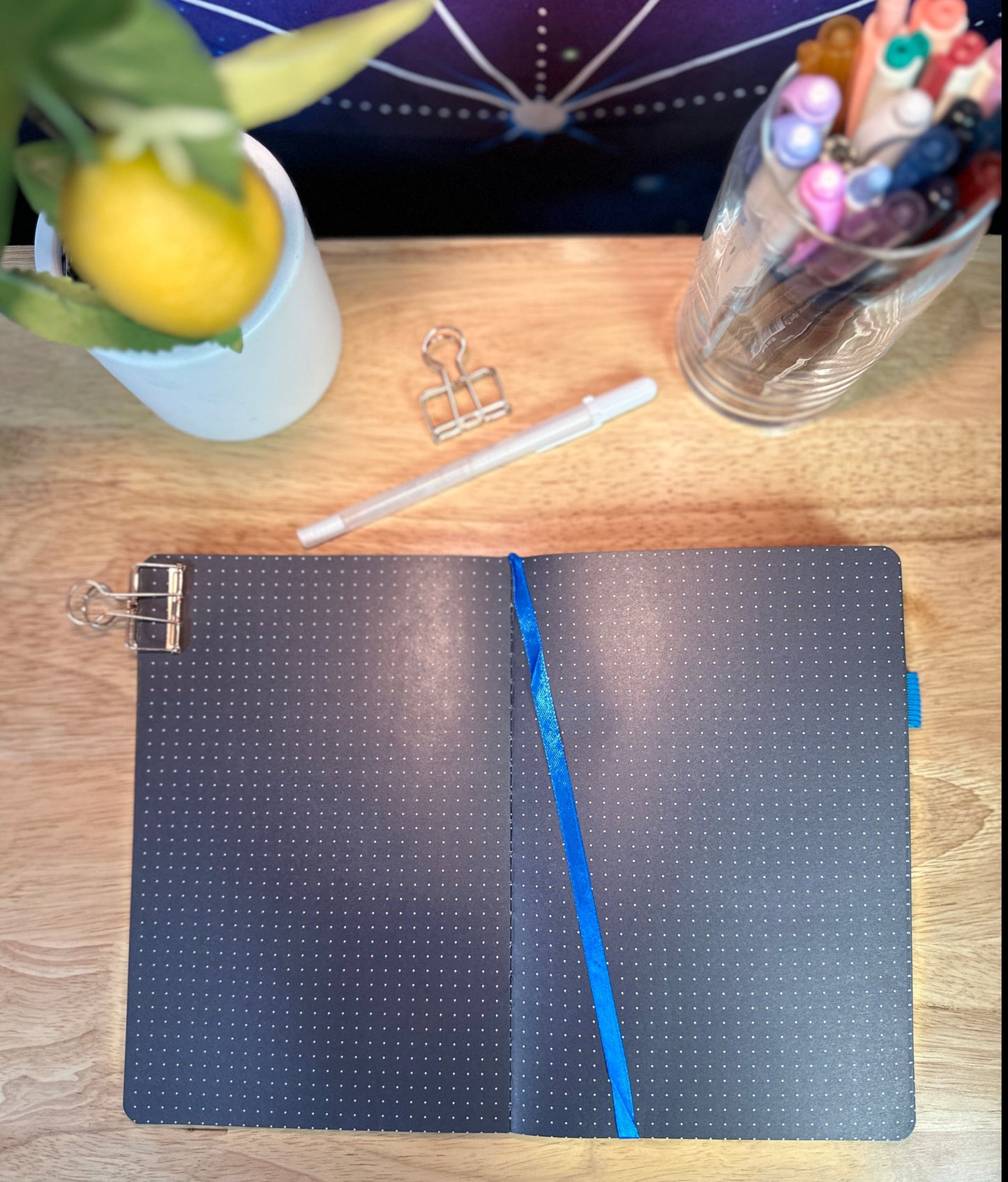 Delmas 33 - A5 Dotted Journal Bundle 3