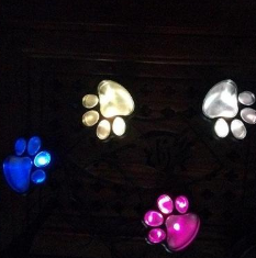Solar Paw Print Outdoor Path Lights