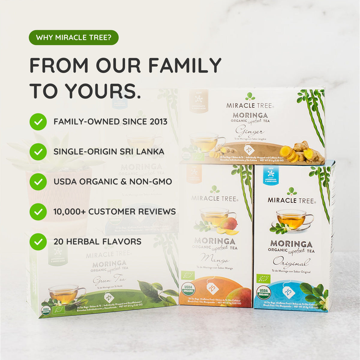 Organic Moringa Tea — Honey & Vanilla