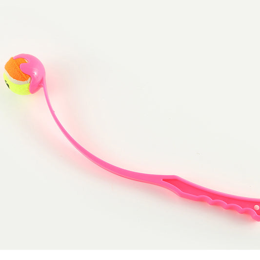 Interactive Dog Fetch & Training Launcher