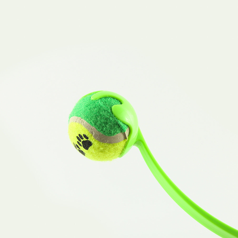 Interactive Dog Fetch & Training Launcher
