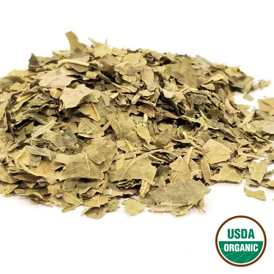 White Mulberry Leaf (Tea Bag Cut) - Morus alba Folium - Sang Ye - Organic Grade