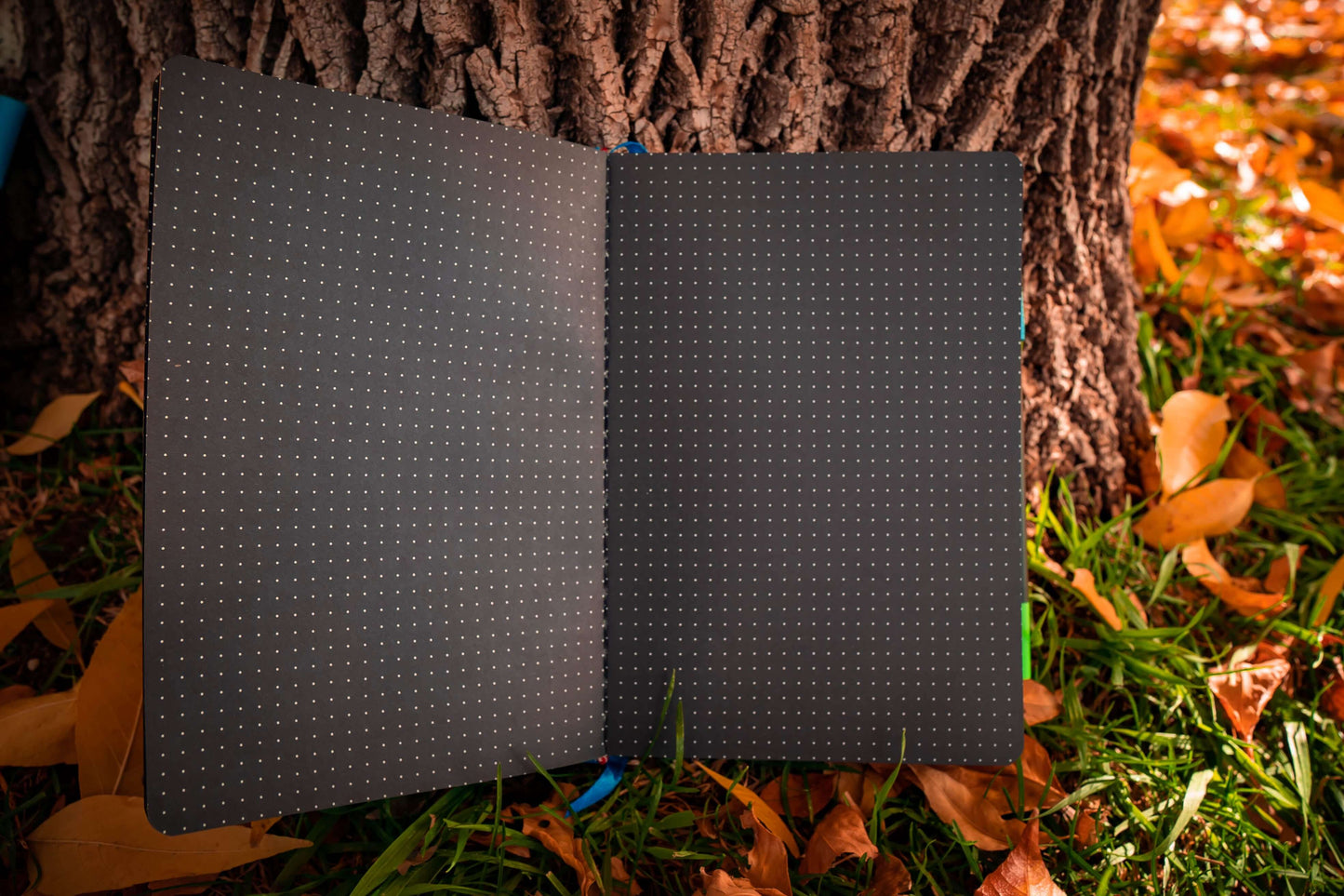 Delmas 33 Hibiscus A5 Dotted Journal with Black Paper